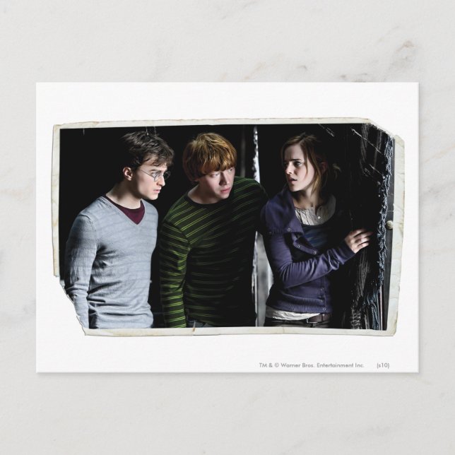 Harry, Ron, and Hermione 4 Postcard (Front)