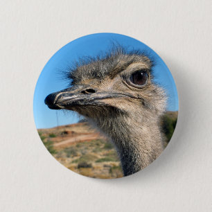 Harry the Happy Ostrich 6 Cm Round Badge