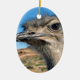 Harry the Happy Ostrich Ceramic Tree Decoration