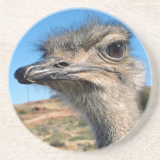 Harry the Happy Ostrich Coaster (Front)
