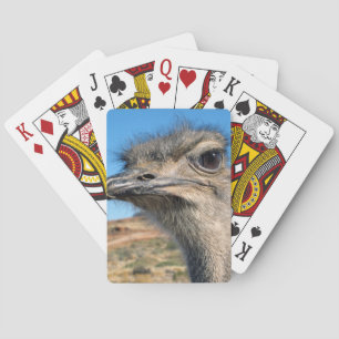 Harry the Happy Ostrich Playing Cards