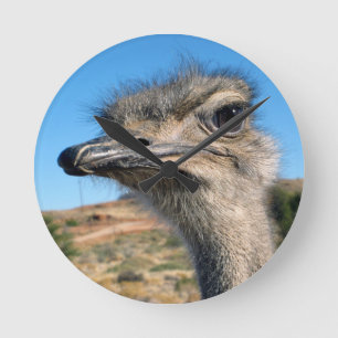 Harry the Happy Ostrich Round Clock