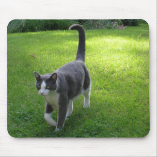 Harrypad 1 mouse pad