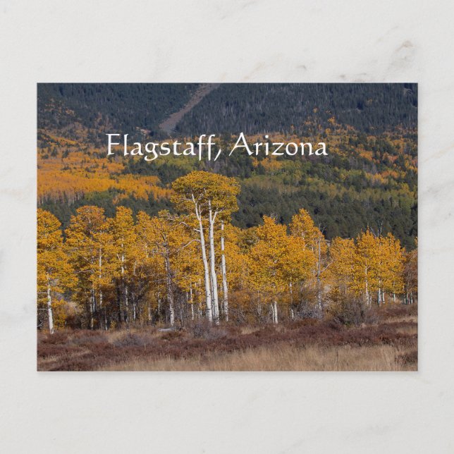 Hart Prairie Flagstaff, Arizona Postcard (Front)