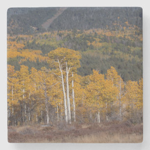 Hart  Prairie Stone Coaster