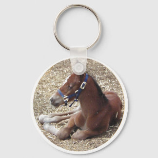 hartlandfoal key ring