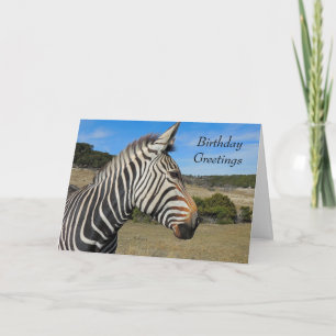 Hartmann's Zebra Portrait Birthday Card