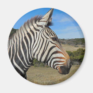 Hartmann's Zebra Profile at Fossil Rim Magnet