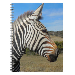 Hartmann's Zebra Profile at Fossil Rim Spiral Notebook