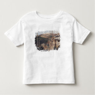 Hartmanswillerkopf, View from Roche-Sermet, 1915 Toddler T-Shirt