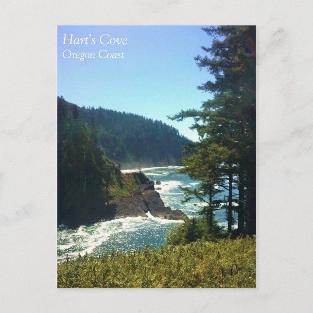 Hart's Cove, Oregon Coast Postcard (Front)