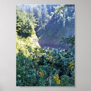 Hart's Cove, Oregon Coast Poster