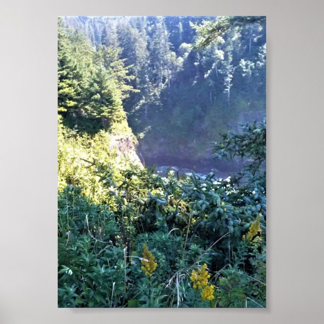 Hart's Cove, Oregon Coast Poster (Front)