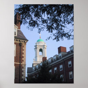 Harvard in the Spring Poster