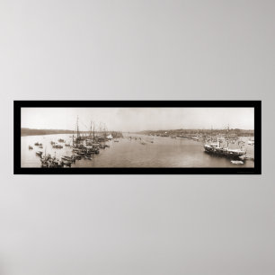 Harvard Yale Boat Race Photo 1905 Poster