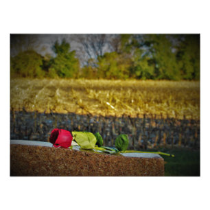 "Harvest Blessings" Photo Print