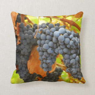 Harvest Cushion