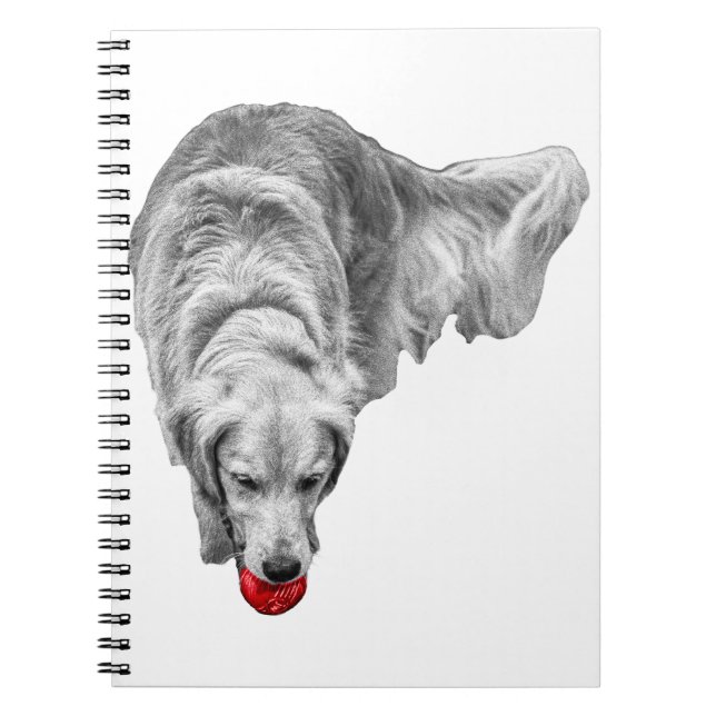 Harvest Ember Reflections Notebook (Front)