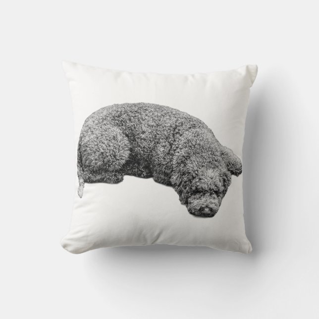 Harvest Evening Calm Cushion (Front)