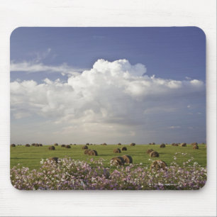 Harvest fields with cosmos flowers in mouse pad