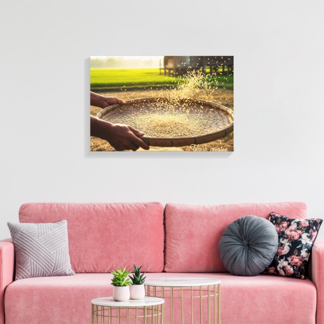 Harvest Grain, Rice Field Canvas Print (Insitu(LivingRoom))