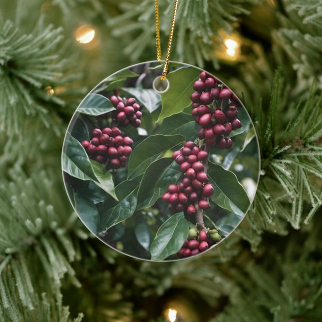 **"Harvest in Bloom: Coffee Beans on the Tree"** Ceramic Tree Decoration (Tree)