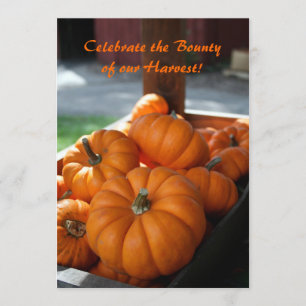 Harvest Invitation- mini pumpkins Invitation