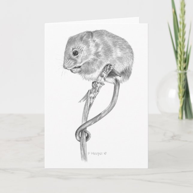 Harvest Mouse Card (Front)