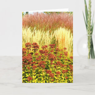 Harvest Note Card Collection