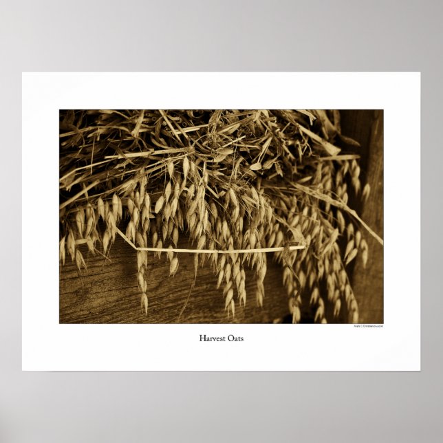 Harvest Oats Poster (Front)
