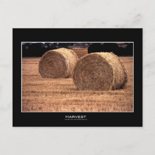Harvest Postcards