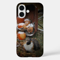 Harvest Pumpkins and Calico Cat