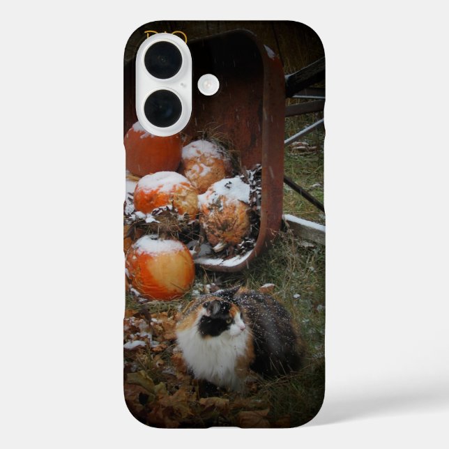 Harvest Pumpkins and Calico Cat Case-Mate iPhone Case (Back)