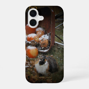 Harvest Pumpkins and Calico Cat iPhone 16 Case