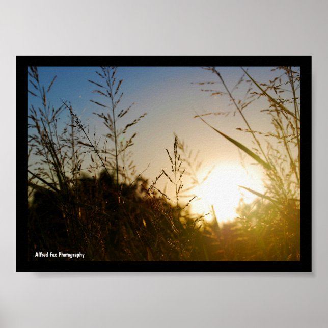 Harvest Sunrise Poster (Front)