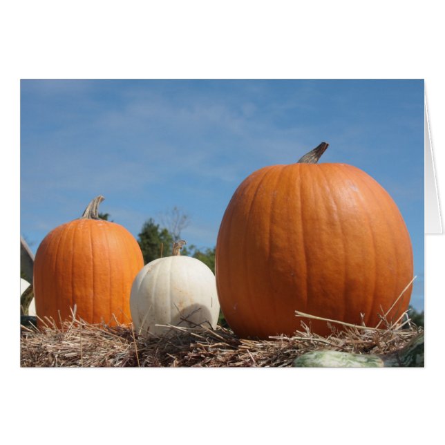 HARVEST TIME!!!! (Front Horizontal)