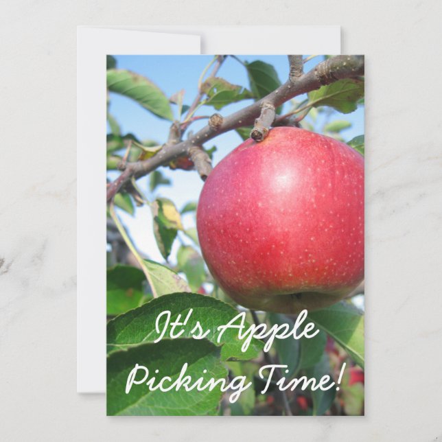 Harvest Time Invitation (Front)