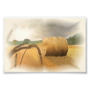 harvest time photo print
