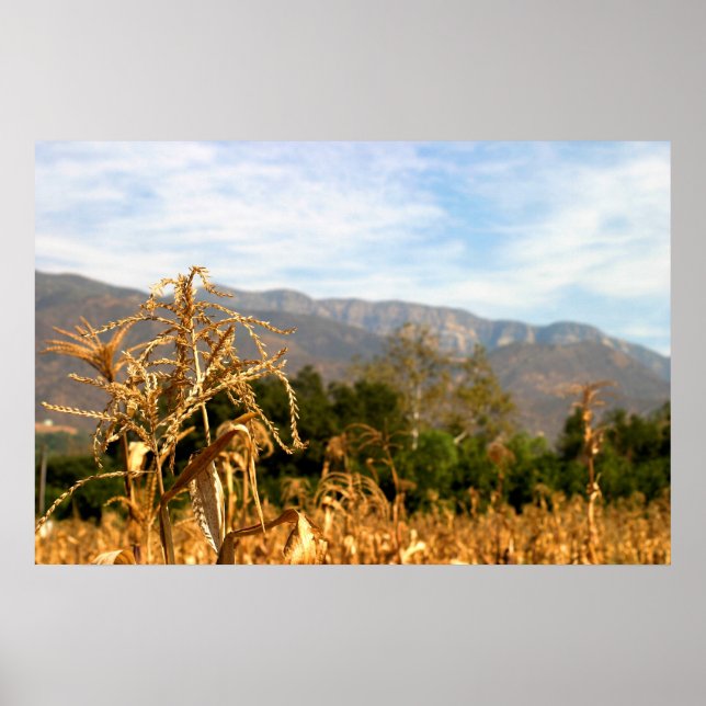 Harvest Time Poster (Front)