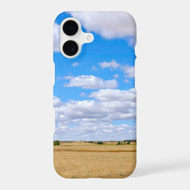 Harvested wheat fields  (Back)