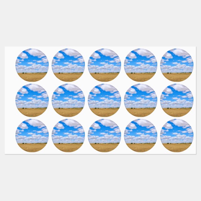 Harvested wheat fields  (Sheet)