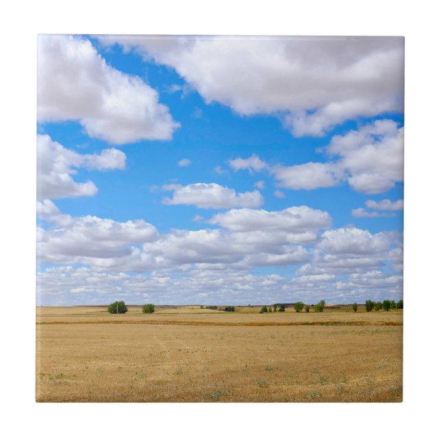 Harvested wheat fields  tile (Front)