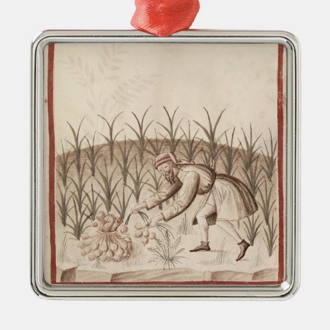 Harvesting Garlic Metal Tree Decoration (Front)