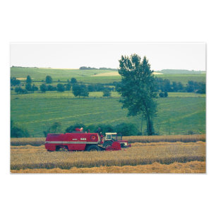 Harvesting Photo Print