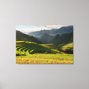 harvesting plants on mountains with cloudy sky canvas print