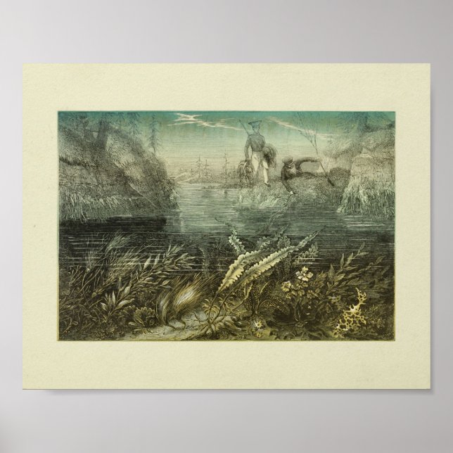 Harvesting Seaweed Explorers Colour Art Print (Front)