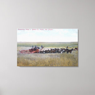 Harvesting Wheat Scene Canvas Print