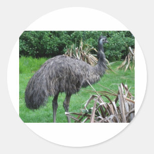 Harvey Classic Round Sticker