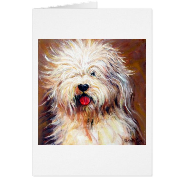 Harvey - Old English Sheep Dog (Front)