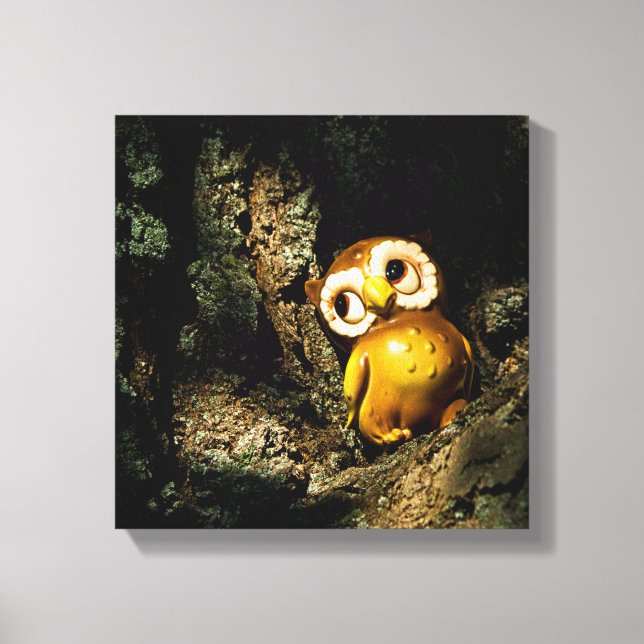 Harvey the Owl I Canvas Print (Front)